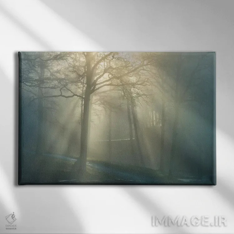 تابلو آوای جنگل اثر بن هاین (هنرمند بلژیکی) - نمای روبهرو روی دیوار