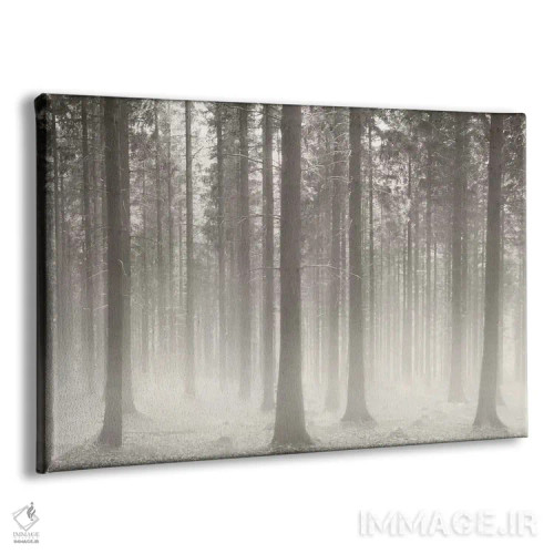 تابلو جنگل لهستان ۲ اثر بن هاین (هنرمند بلژیکی) - نمای پرسپکتیو محصول