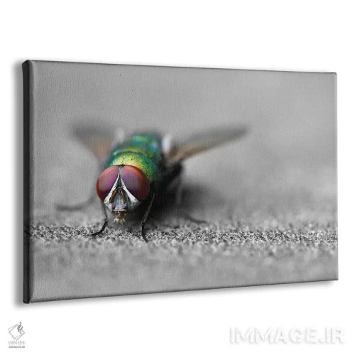 تابلو سلام اثر بن هاین (هنرمند بلژیکی) - نمای پرسپکتیو محصول