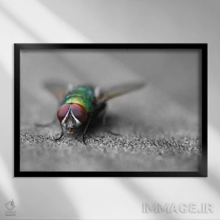 تابلو سلام اثر بن هاین (هنرمند بلژیکی) - نمای قابدار مشکی