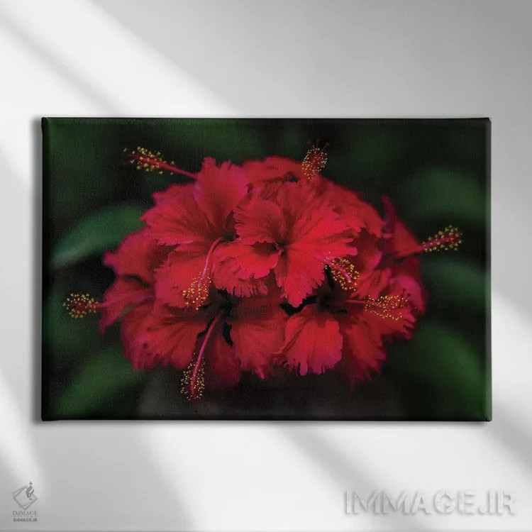 تابلو تایلند ۵ اثر بن هاین (هنرمند بلژیکی) - نمای روبهرو روی دیوار