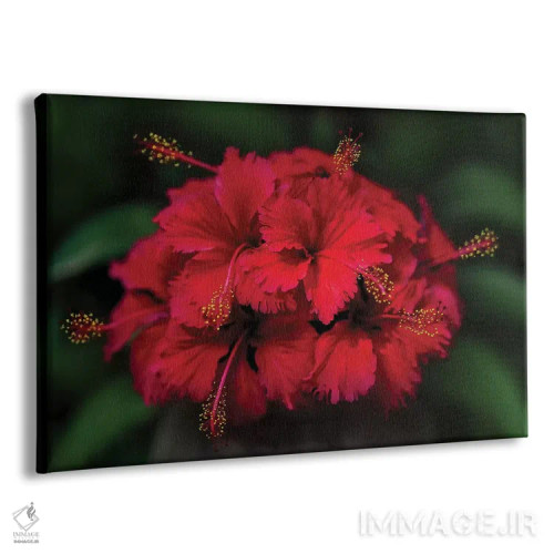 تابلو تایلند ۵ اثر بن هاین (هنرمند بلژیکی) - نمای پرسپکتیو محصول