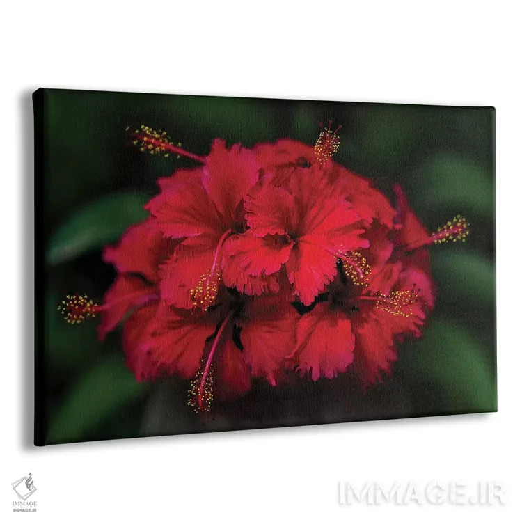 تابلو تایلند ۵ اثر بن هاین (هنرمند بلژیکی) - نمای پرسپکتیو محصول