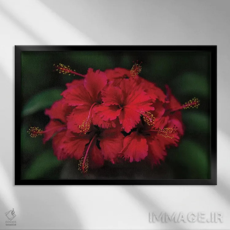 تابلو تایلند ۵ اثر بن هاین (هنرمند بلژیکی) - نمای قابدار مشکی