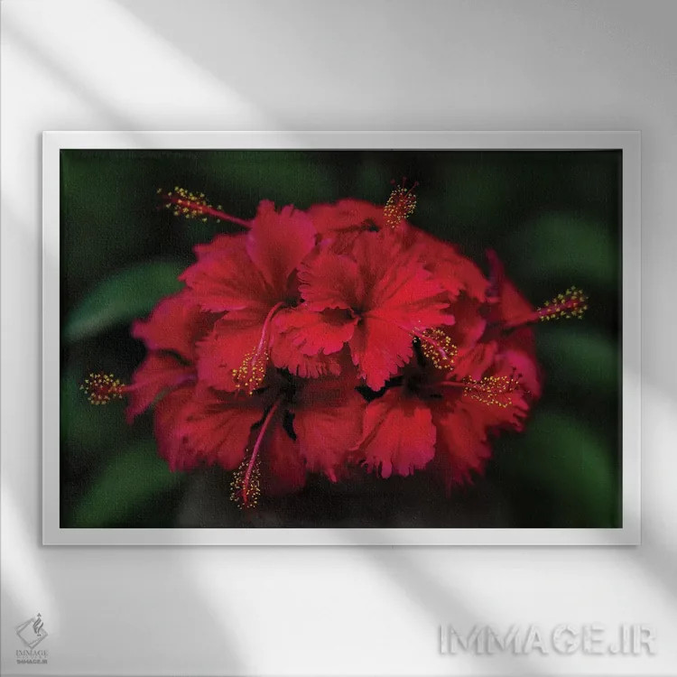 تابلو تایلند ۵ اثر بن هاین (هنرمند بلژیکی) - نمای قابدار سفید