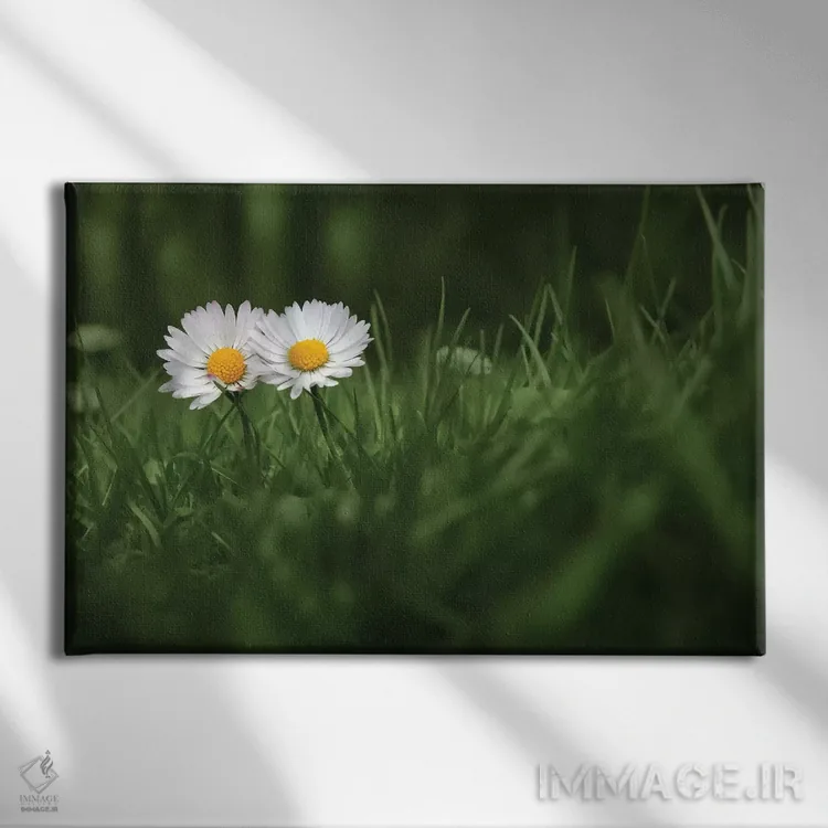 تابلو من و تو اثر بن هاین (هنرمند بلژیکی) - نمای روبهرو روی دیوار