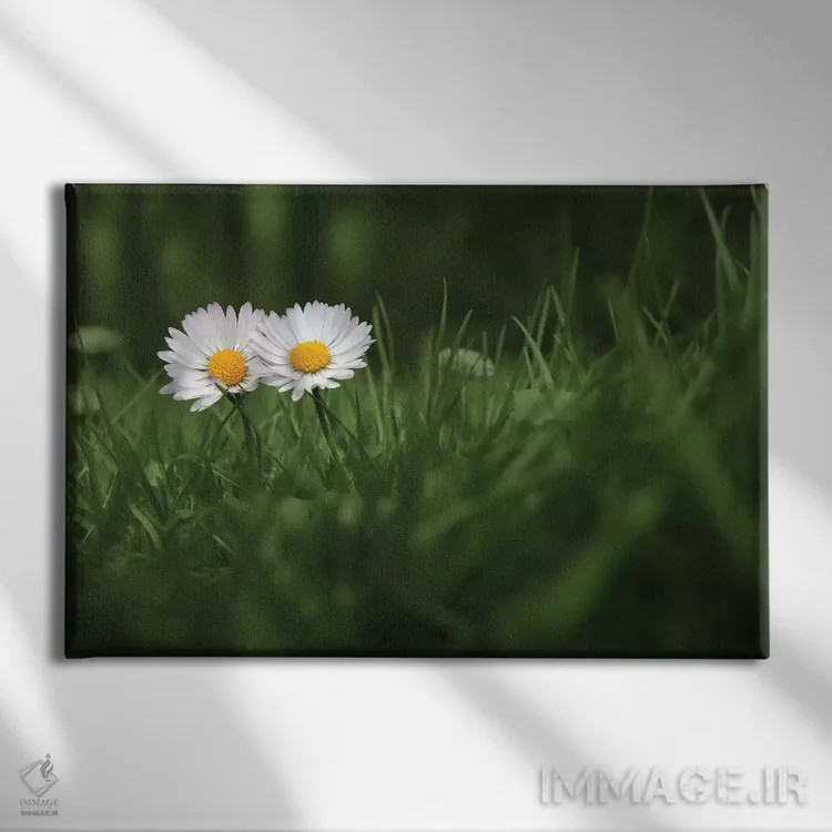 تابلو من و تو اثر بن هاین (هنرمند بلژیکی) - نمای روبهرو روی دیوار
