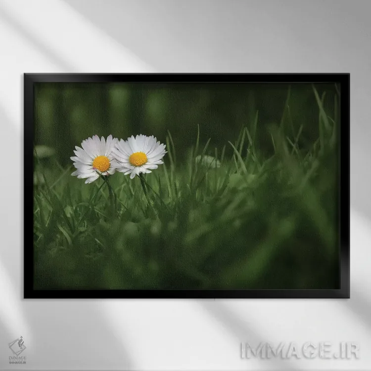 تابلو من و تو اثر بن هاین (هنرمند بلژیکی) - نمای قابدار مشکی