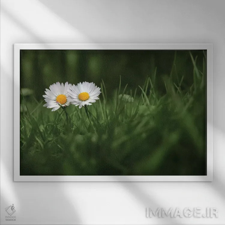 تابلو من و تو اثر بن هاین (هنرمند بلژیکی) - نمای قابدار سفید