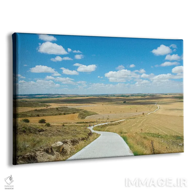 تابلو زیارتگاه سانتیاگو د کمپوستلا ۱۶۰ (اسپانیا) اثر بن هاین (هنرمند بلژیکی) - نمای پرسپکتیو محصول