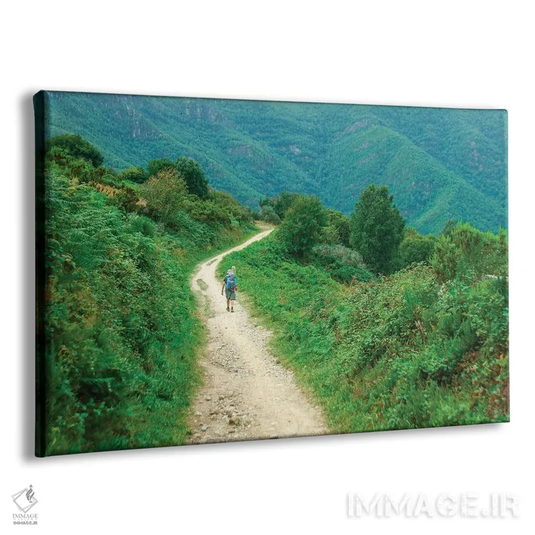 تابلو زیارتگاه سانتیاگو د کمپوستلا ۲۴۲ (اسپانیا) اثر بن هاین (هنرمند بلژیکی) - نمای پرسپکتیو محصول