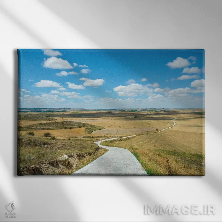 تابلو زیارتگاه سانتیاگو د کمپوستلا ۱۶۰ (اسپانیا) اثر بن هاین (هنرمند بلژیکی) - نمای روبهرو روی دیوار