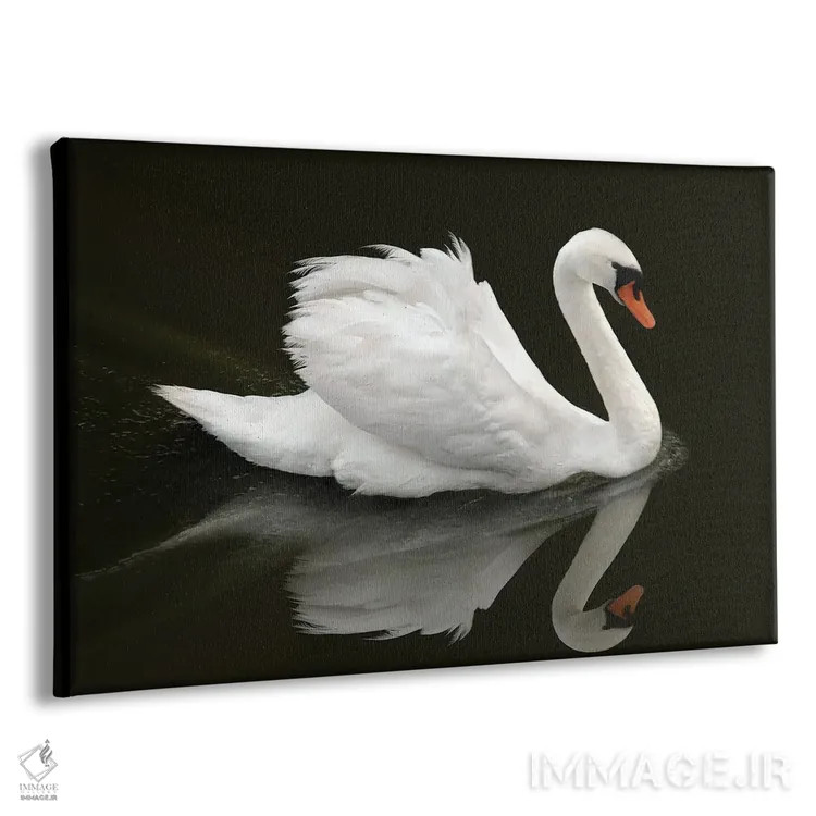 تابلو قوی (پرنده) اثر بن هاین (هنرمند بلژیکی) - نمای پرسپکتیو محصول