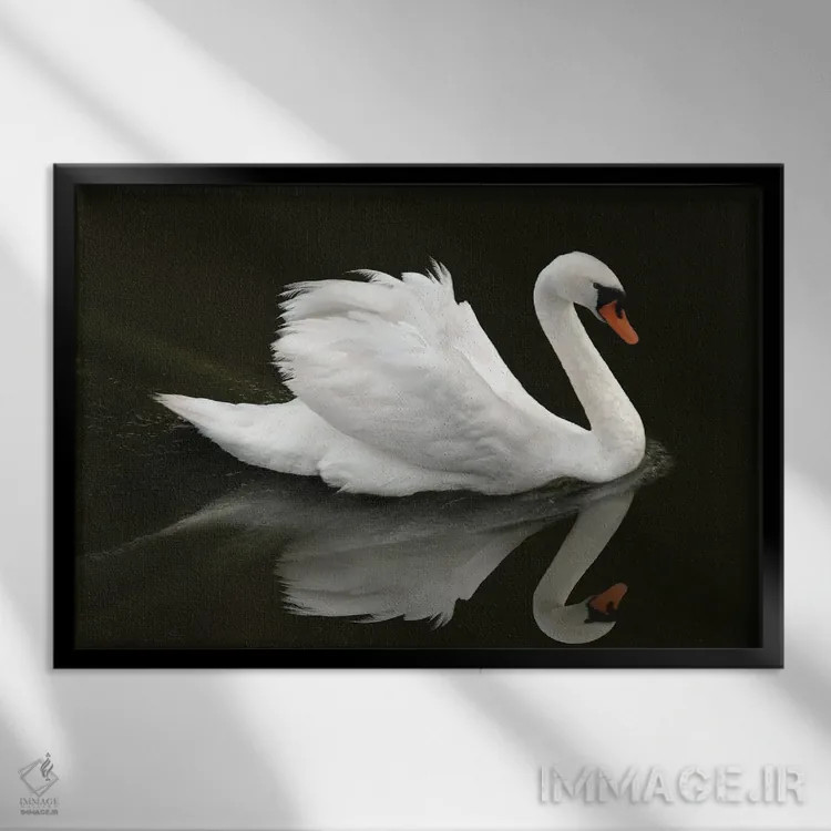 تابلو قوی (پرنده) اثر بن هاین (هنرمند بلژیکی) - نمای قابدار مشکی