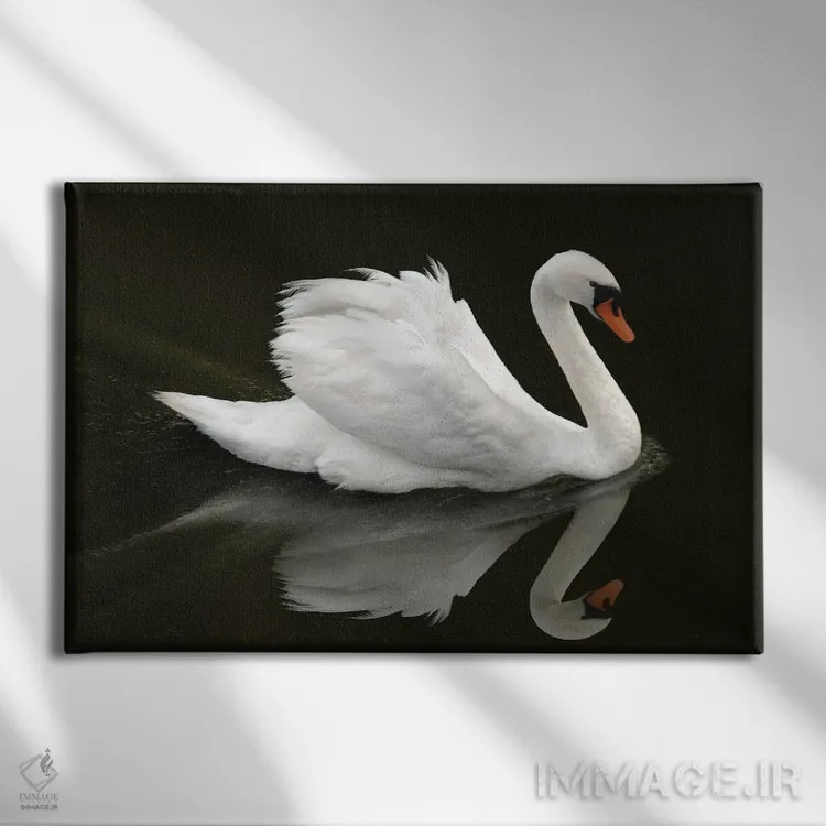 تابلو قوی (پرنده) اثر بن هاین (هنرمند بلژیکی) - نمای روبهرو روی دیوار