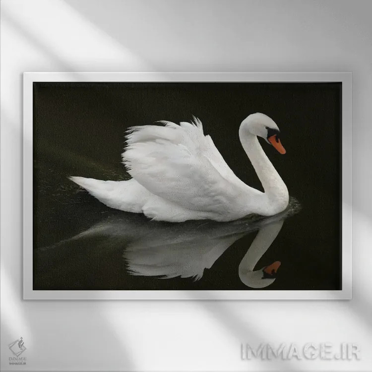 تابلو قوی (پرنده) اثر بن هاین (هنرمند بلژیکی) - نمای قابدار سفید