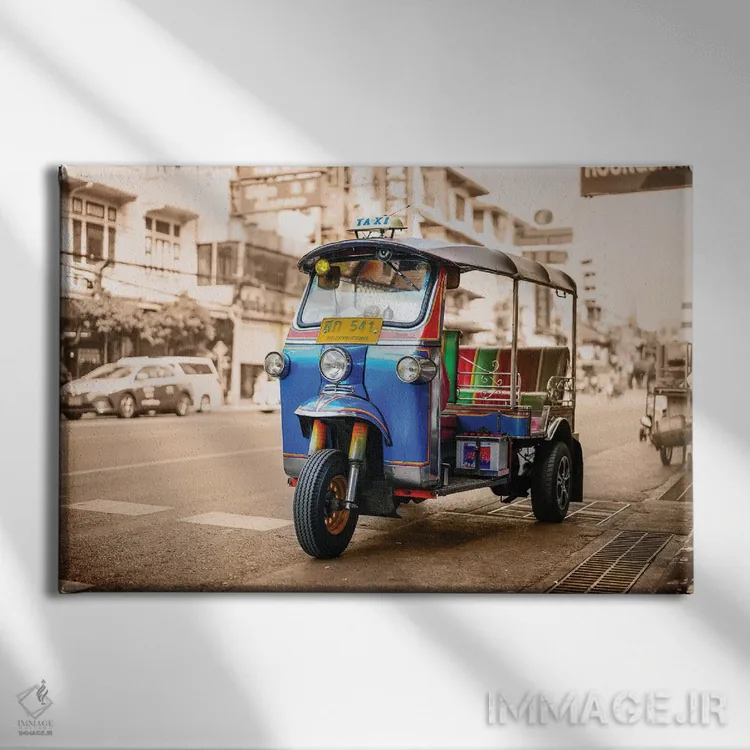 تابلو تایلند ۷۲ اثر بن هاین (هنرمند بلژیکی) - نمای روبهرو روی دیوار