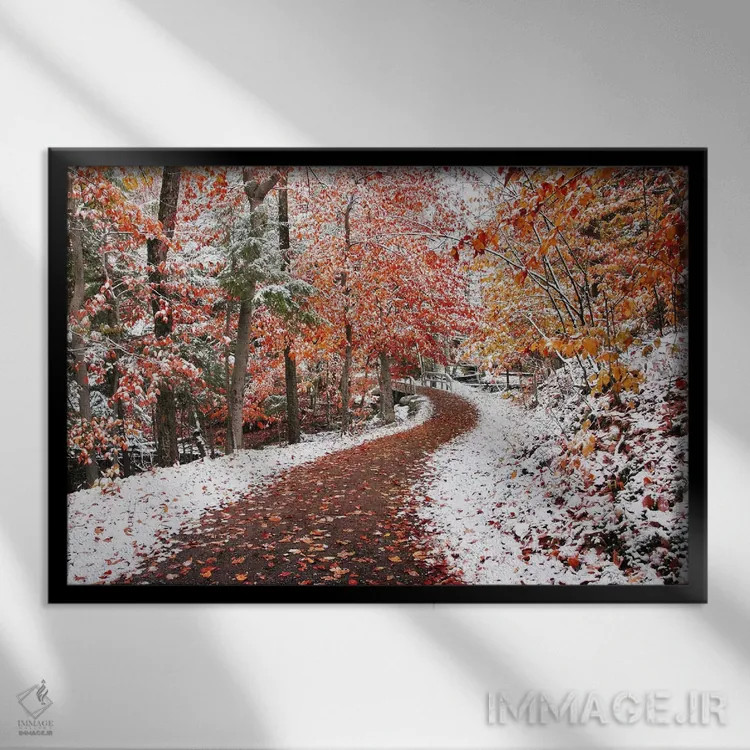 تابلو دو فصل اثر بن هاین (هنرمند بلژیکی) - نمای قابدار مشکی