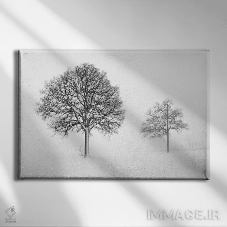 تابلو ما با هم زندگی میکنیم و با هم میمیریم اثر بن هاین (هنرمند بلژیکی) - نمای روبهرو روی دیوار