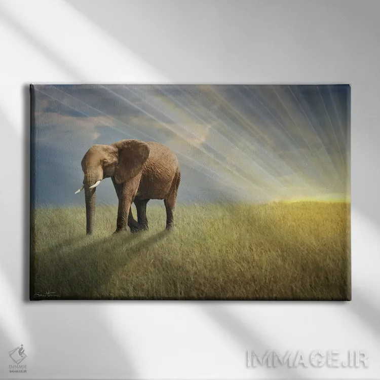 تابلو با نور قدم بزن اثر بن هاین (هنرمند بلژیکی) - نمای روبهرو روی دیوار