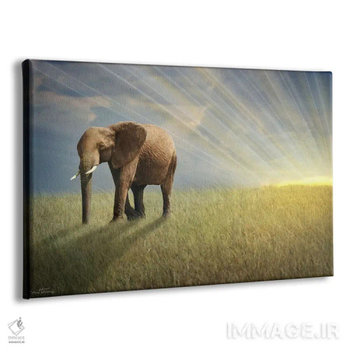 تابلو با نور قدم بزن اثر بن هاین (هنرمند بلژیکی) - نمای پرسپکتیو محصول