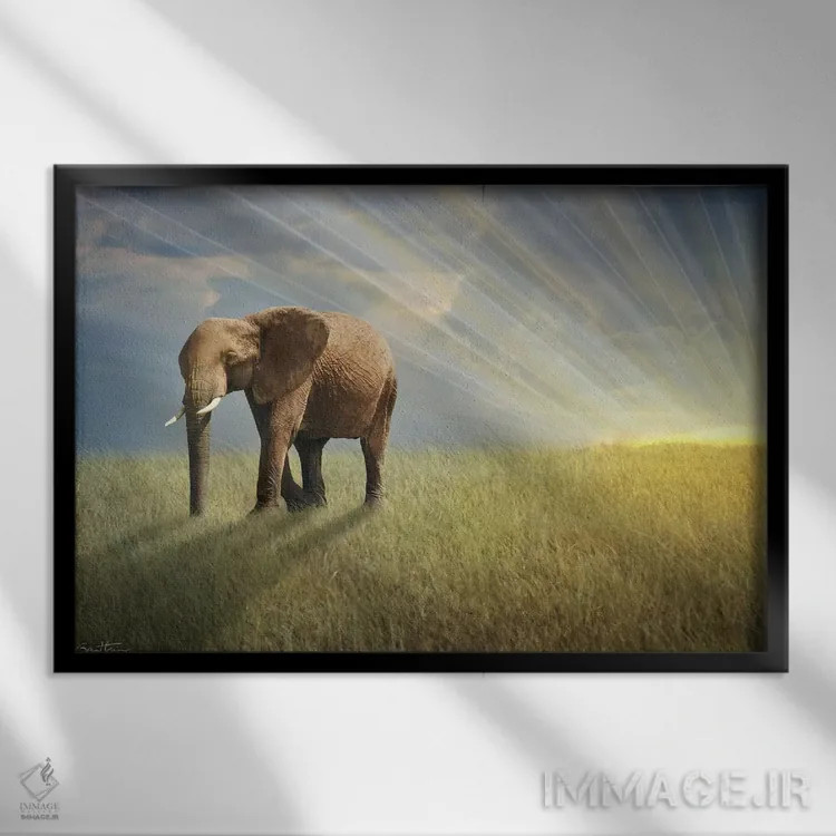 تابلو با نور قدم بزن اثر بن هاین (هنرمند بلژیکی) - نمای قابدار مشکی