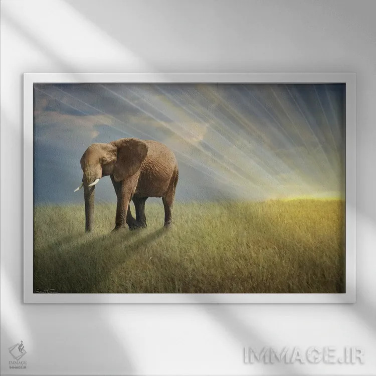 تابلو با نور قدم بزن اثر بن هاین (هنرمند بلژیکی) - نمای قابدار سفید