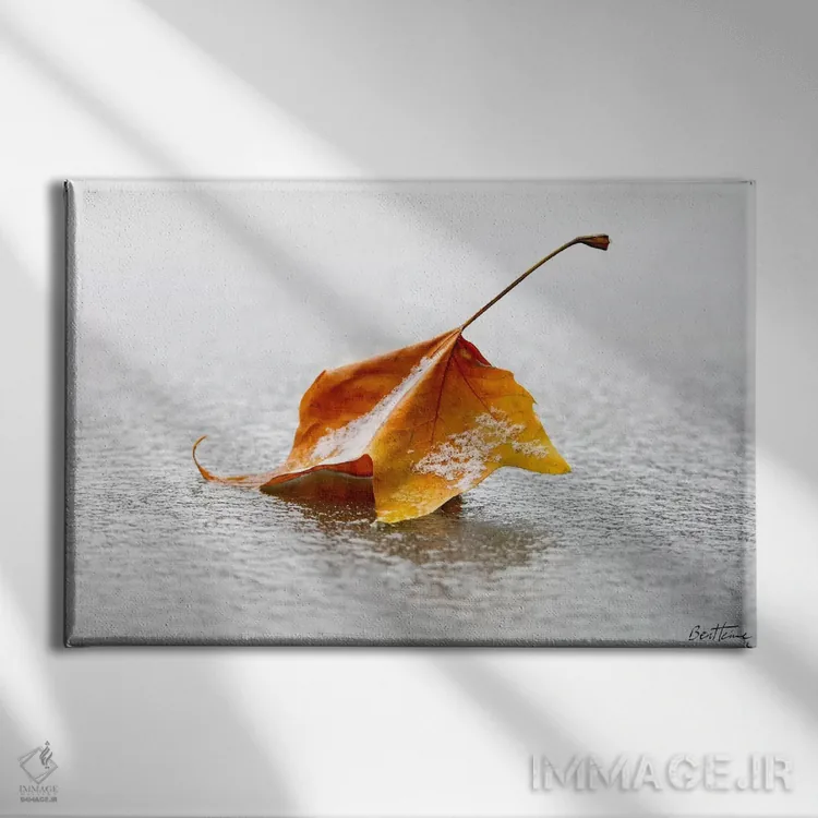 تابلو ترد اثر بن هاین (هنرمند بلژیکی) - نمای روبهرو روی دیوار