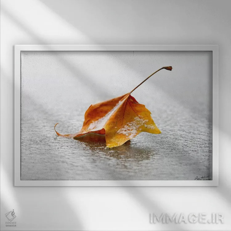 تابلو ترد اثر بن هاین (هنرمند بلژیکی) - نمای قابدار سفید