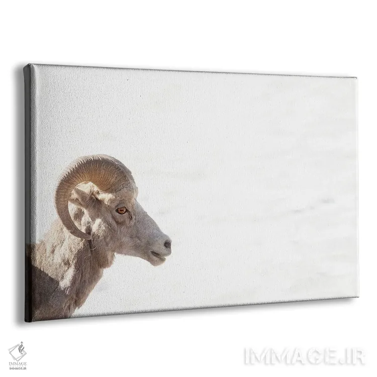 تابلو چشم گوسفند کوهی اثر بنجامین پاجت - نمای پرسپکتیو محصول
