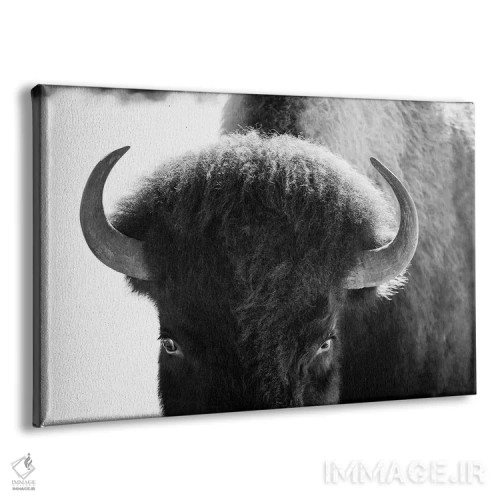 تابلو چشمان قفلشده اثر بنجامین پاجت - نمای پرسپکتیو محصول