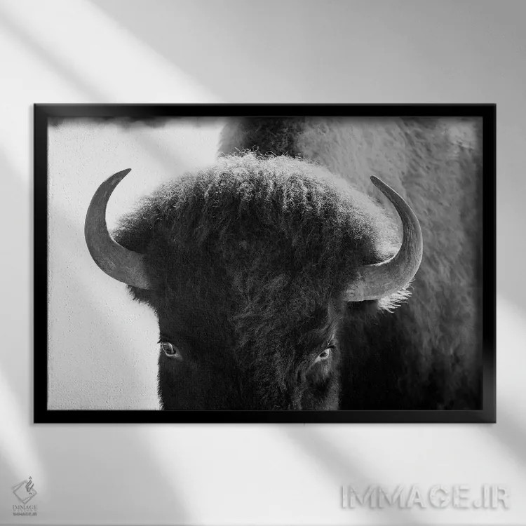 تابلو چشمان قفلشده اثر بنجامین پاجت - نمای قابدار مشکی