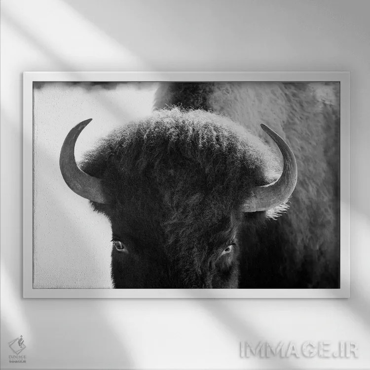 تابلو چشمان قفلشده اثر بنجامین پاجت - نمای قابدار سفید