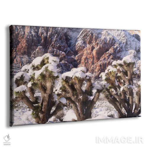 تابلو سهگانهٔ درخت یوشوا اثر بنجامین پاجت - نمای پرسپکتیو محصول