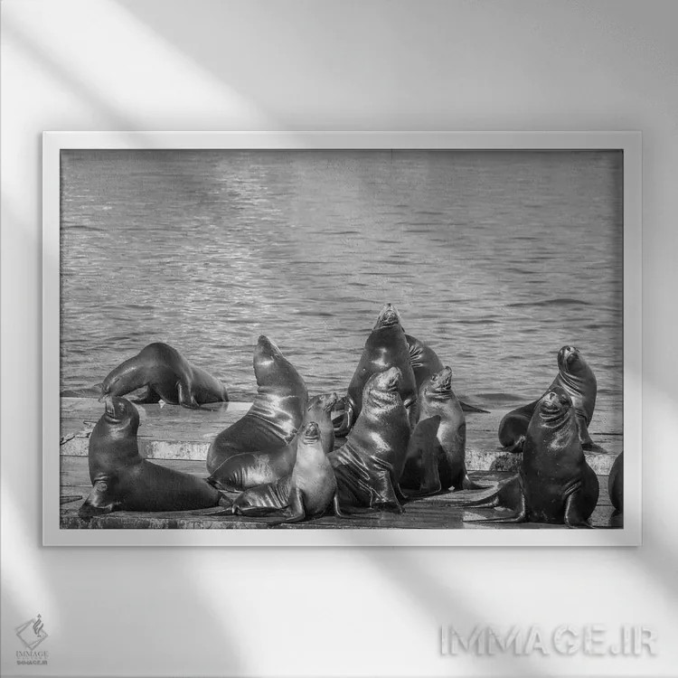 تابلو پرترهٔ خانوادگی اثر بنجامین پاجت - نمای قابدار سفید