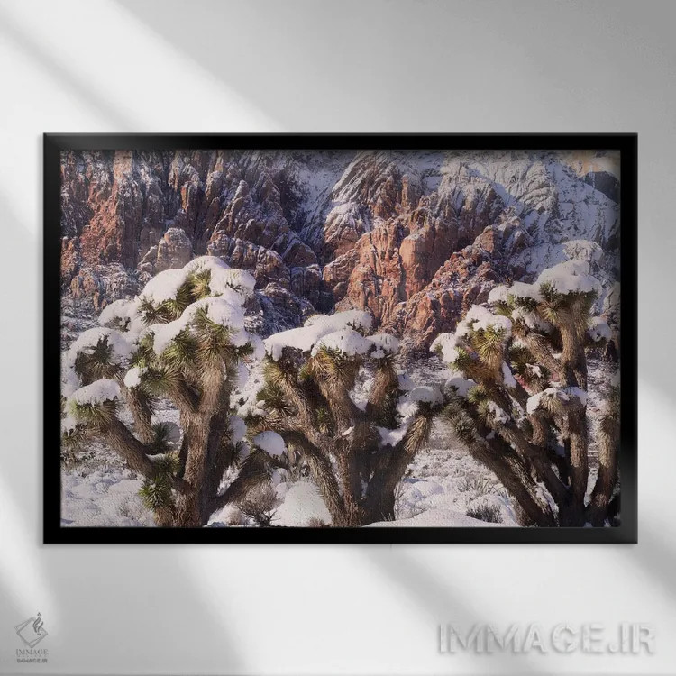 تابلو سهگانهٔ درخت یوشوا اثر بنجامین پاجت - نمای قابدار مشکی