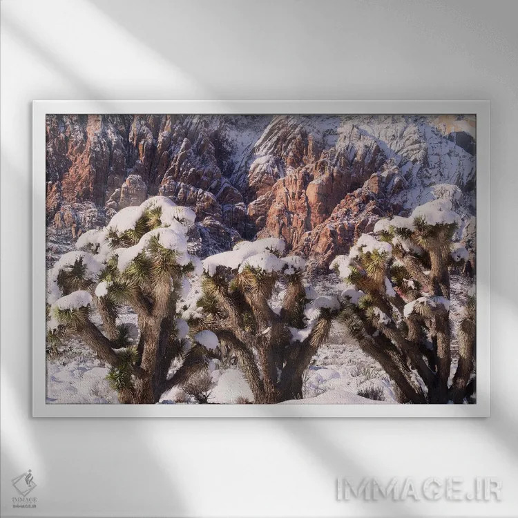 تابلو سهگانهٔ درخت یوشوا اثر بنجامین پاجت - نمای قابدار سفید