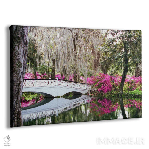 تابلو پل مگنولیا اثر بنجامین پاجت - نمای پرسپکتیو محصول