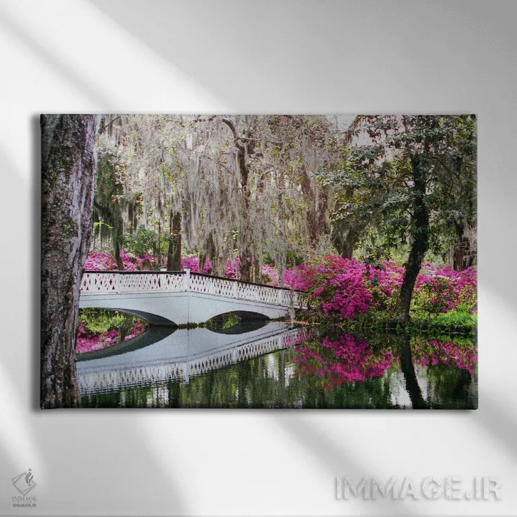 تابلو پل مگنولیا اثر بنجامین پاجت - نمای روبهرو روی دیوار