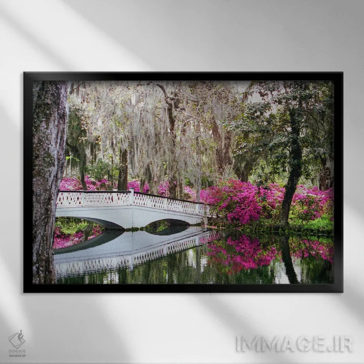 تابلو پل مگنولیا اثر بنجامین پاجت - نمای قابدار مشکی