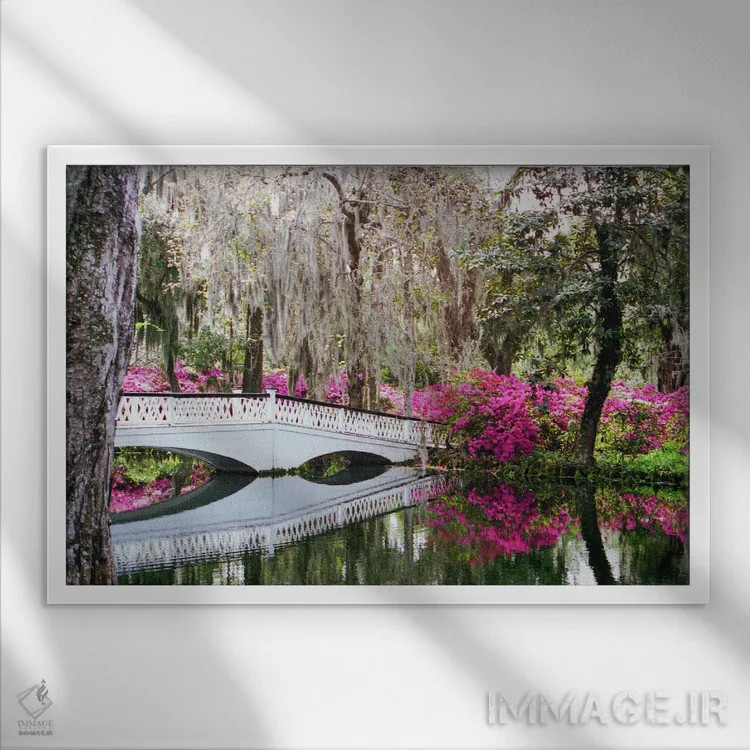 تابلو پل مگنولیا اثر بنجامین پاجت - نمای قابدار سفید