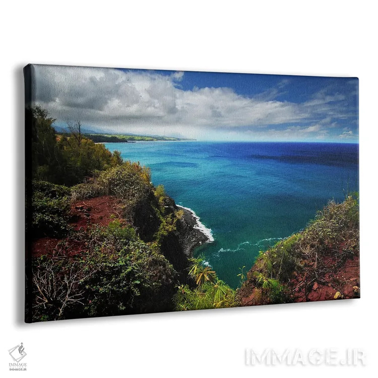 تابلو ساحل شمالی کائوآئی اثر بنجامین پاجت - نمای پرسپکتیو محصول