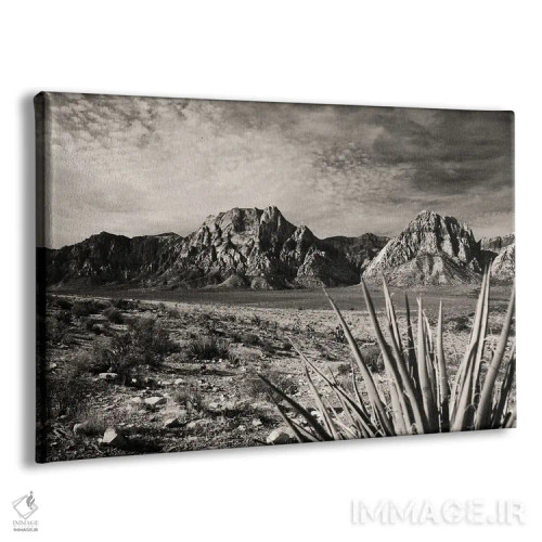 تابلو سنگ قرمز به رنگ سپیا اثر بنجامین پاجت - نمای پرسپکتیو محصول