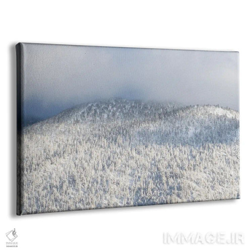 تابلو درختان تاهو شماره سیزده اثر بنجامین پاجت - نمای پرسپکتیو محصول