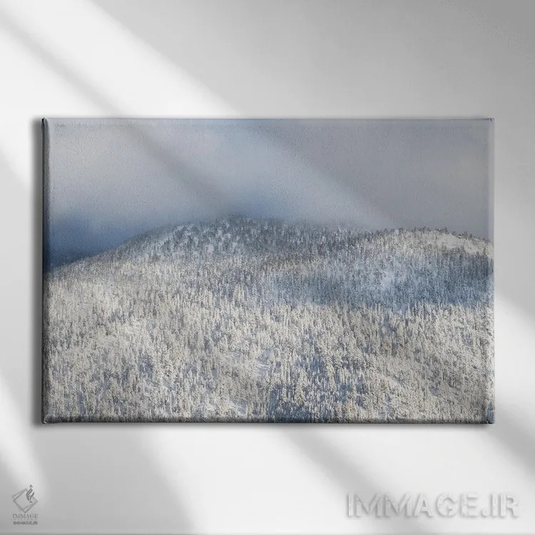 تابلو درختان تاهو شماره سیزده اثر بنجامین پاجت - نمای روبهرو روی دیوار