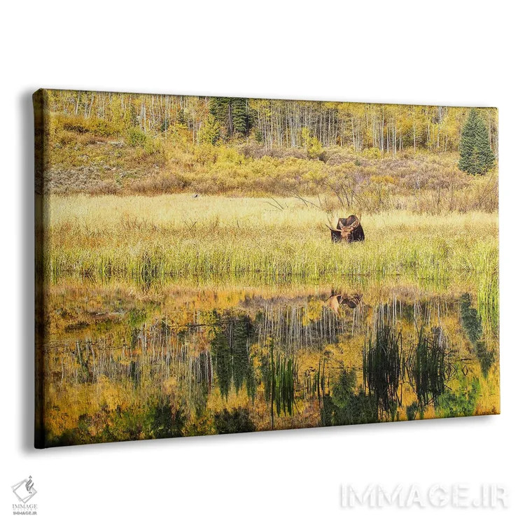 تابلو گوزن پاییزی مخفیکار اثر بنجامین پاجت - نمای پرسپکتیو محصول