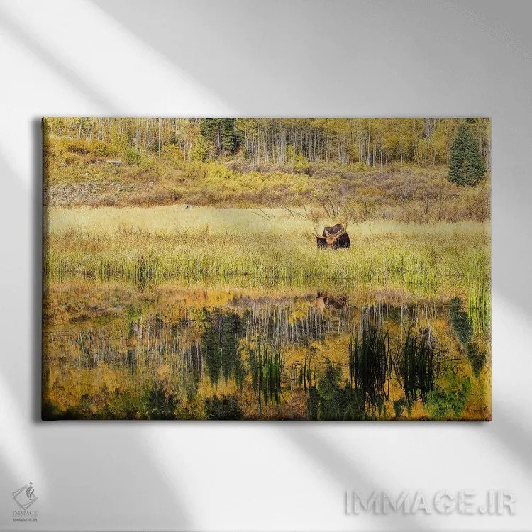 تابلو گوزن پاییزی مخفیکار اثر بنجامین پاجت - نمای روبهرو روی دیوار