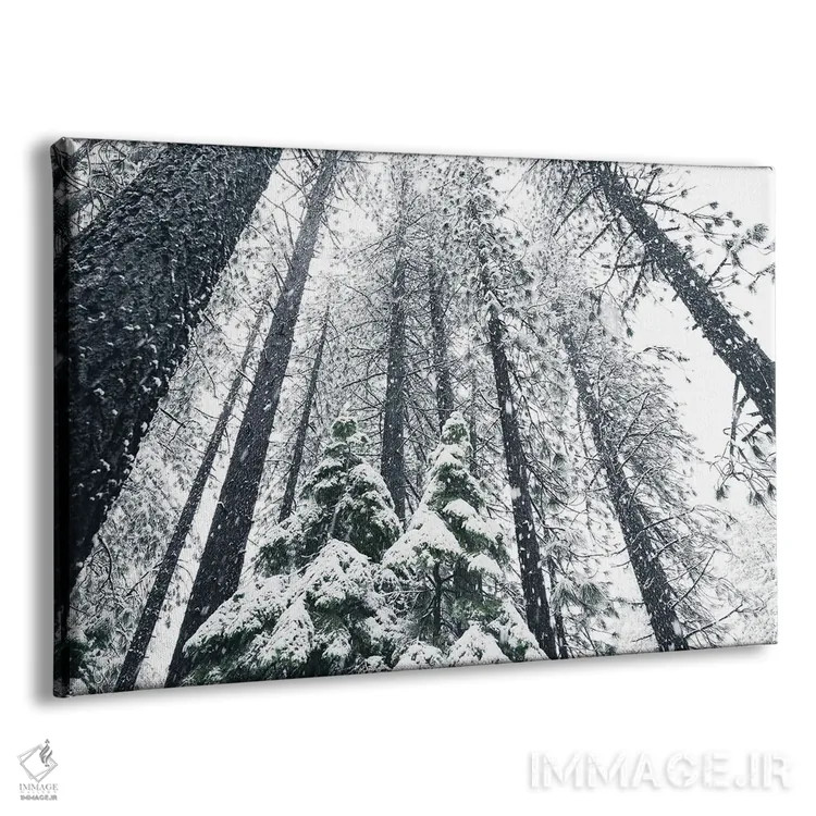 تابلو درختان تاهو شماره دو اثر بنجامین پاجت - نمای پرسپکتیو محصول