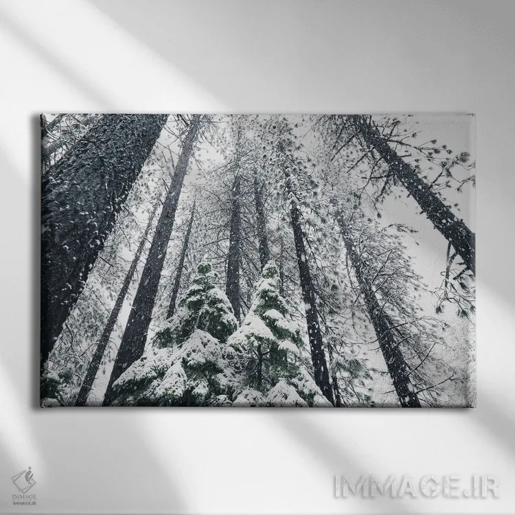 تابلو درختان تاهو شماره دو اثر بنجامین پاجت - نمای روبهرو روی دیوار