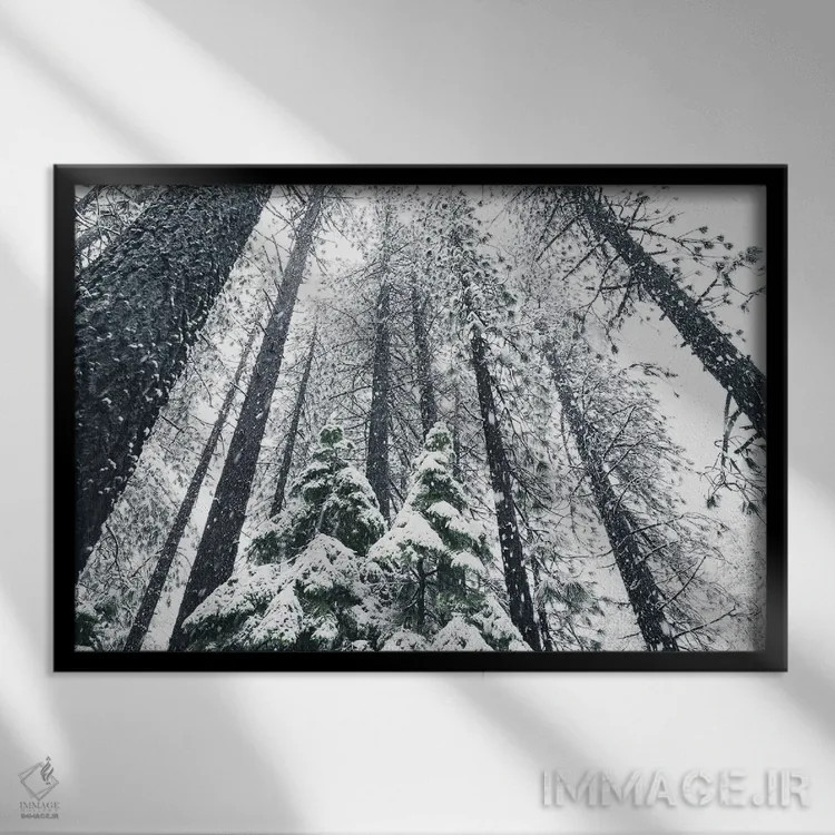 تابلو درختان تاهو شماره دو اثر بنجامین پاجت - نمای قابدار مشکی